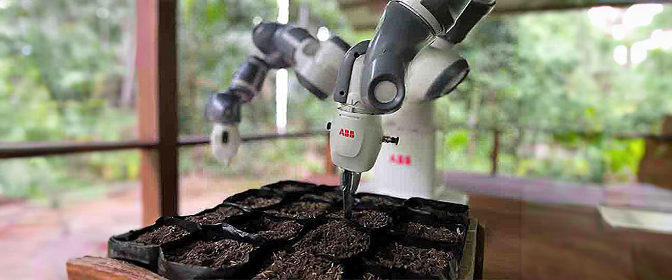 Image of ABB YuMi automating seed planting