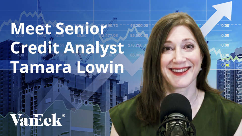 Meet Tamara Lowin, Senior Credit Analyst | VanEck