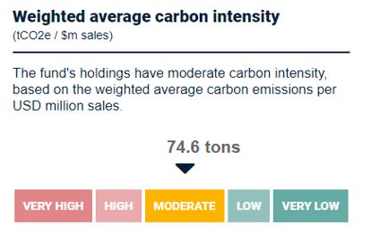 Gewichtete durchschnittliche Kohlenstoffintensität