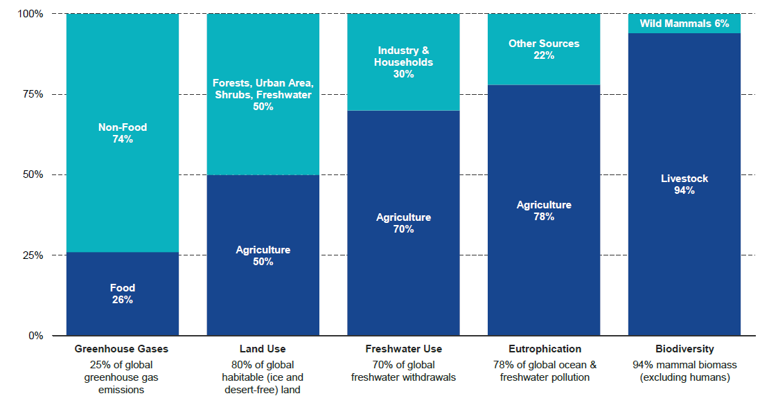 Das Schaubild visualisiert Umweltauswirkungen der Landwirtschaft in verschiedenen Bereichen