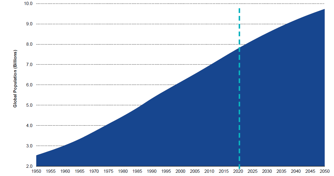 Schaubild zeigt rasantes Wachstum der Weltbevölkerung bis 2050	